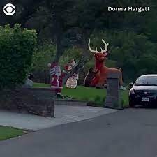 CBS News on X: BEAR VS REINDEER: A bear was captured attacking an inflatable  reindeer in Monrovia, California, while a larger bear watches in the  background. t.coIDVxTv0Gn2  X