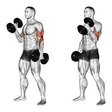 Arms are a major problem area, especially as we age, so nip that issue in the bud and work those biceps today! Top 5 Exercises For Your Bicep Workout A Lean Life