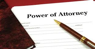 Image result for Poa