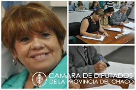 Poder Legislativo del Chaco