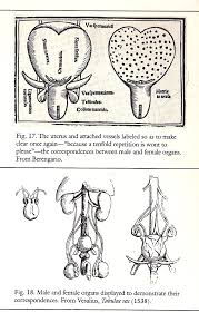 ABSOLUTE FINAL COPY OF THESIS