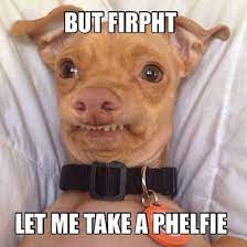 Lisp Selfie Funny As Duck Funny Pictures Funny Dog Pictures Funny Funny Sites