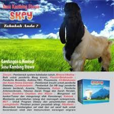 Ada banyak lagi kelebihan susu kambing serta khasiatnya untuk ibu megandung serta bayi dalam kandungannya. 12 Manfaat Susu Kambing Etawa Skey Distributor Susu Kambing Etawa Skey