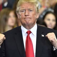 Joel Ebert's Profile