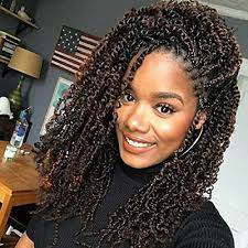 Picture 9 Of 12 Naturalhair Twist Hairstyles Braided Hairstyles Curly Hair Styles