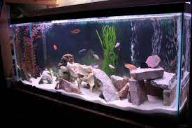 How To Decorate Your Boring Fish Tank Pouted Com Fish Tank Decorations Cool Fish Tanks Fish Tank Themes