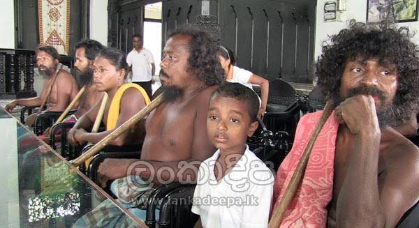 ආදි වාසීන්ගේ මී පැණි පූජාව අද මහනුවරදී - Lankadeepa Online