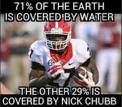 Pin By Alisa Anderson On Georgia Bulldogs Georgia Dawgs Georgia Bulldogs Football Georgia Bulldogs