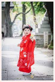 七五三 3歳の女の子の衣装 赤い着物と被布 七五三 3歳 女の子の衣装 七五三