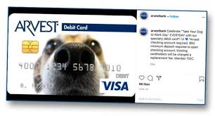 Here are some of them: Gallery Going To The Dogs With Financial Social Media Posts