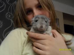 co to znamená Tov Ebony White Cross