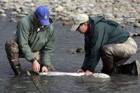 Toss a fly to the Northwest Fly Fishing Show Feb. 13-14 in Lynnwood