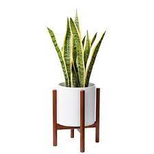 White Plant Stand With Wood Legs And A Green Plant Inside Photo Wooden Plant Stands Modern Plant Stand Plant Pot Holders