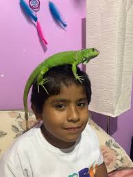 Please help me welcome my beautiful friends that were given or letting me  do fee free layaway at a huge discount, by two beautiful friends of mine!  We have Cornbread Jolteon, Muffin