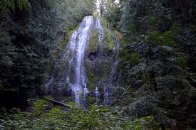 Several waterfalls also make a splash in oregon's national forests. Picture Perfect Proxy Falls Oregon Trail Details For An Easy Waterfall Hike