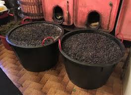 Ecco allora fare il vino in casa. Vinificazione Come Fare Il Vino Rosso Domuseconomy
