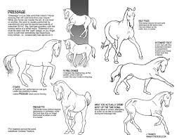 Dressage Movements By Sketcherjak On Deviantart Horse Anatomy Horse Drawings Dressage