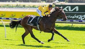 Durrant Racing (@durrant_racing) • Instagram photos and videos