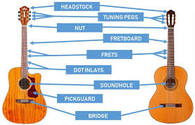 Hundreds of free electric guitar & bass wiring diagrams & guitar wiring resources. Parts Of The Guitar Diagrams For Acoustic And Electric Guitars Guitar Gear Finder