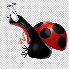 Cartoon Surprised Seven Star Ladybugs Ladybug Surprised Cartoon Png Klipartz Pngtree le proporciona 255 libre ladybug png, psd, vectores e clipart. cartoon surprised seven star ladybugs