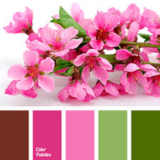 Maybe you would like to learn more about one of these? Peach Pink Color Palette Ideas