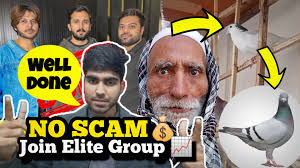 Please subscribe my channel like comment share