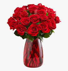 Sicuramente il significato è quello di dire, nel modo più diretto, ti amo alla propria ragazza. Mazzo Di Rose Rosse Hd Png Download Transparent Png Image Pngitem