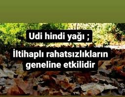 Udi hindi bitkisinin kökünden elde edilen udi hindi yağı, ilaç yapımında kullanılır. Kust I Bahri Udi Hindi Fotos Facebook