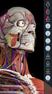 This application enables you to isolate various different regions of the body and navigate between distinct layers in order to understand how everything works. 8 Best Ios Anatomy Apps As Of 2021 Slant