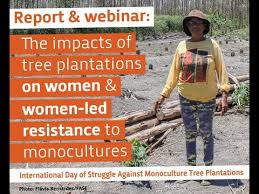 It differs from the transplantation of larger trees in arboriculture, and from the lower cost but slower and less reliable distribution of tree seeds. Webinar The Impacts Of Tree Plantations On Women Women Led Resistance To Monocultures Youtube