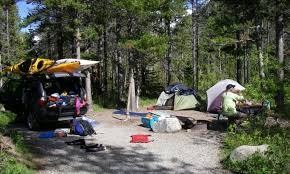 For detailed information about each campground, such as campground fees and amenities, location, number of sites, rv length accommodated, and historic fill. Many Glacier Campground Glacier National Park Alltrips