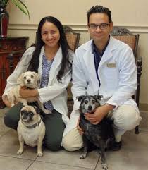 Welcome to fitchburg veterinary hospital. Home