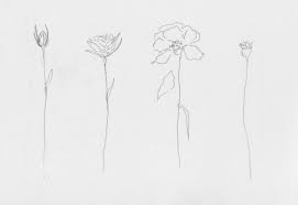 Pin By Lauren D On Art Line Drawing Tattoos Line Art Tattoos Flower Line