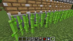 Como sembrar cactus paso a paso. Como Cultivar En Minecraft De Forma Correcta Parada Creativa