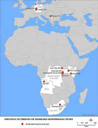 The marburg virus is relatively new on the scene. Maternal Filovirus Infection And Death From Marburg And Ravn Viruses Highly Lethal To Pregnant Women And Their Fetuses Similar To Ebola Virus Intechopen