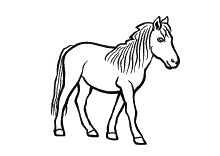 Stehendes pferd stehendes pferd vorlage als . Ausmalbilder Pferde Und Ponys Stute Fohlen Und Esel
