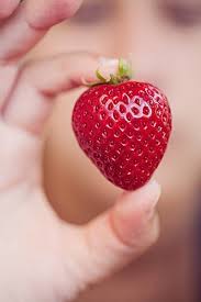Fraise Photos De Fruits Et Legumes Fruits Et Legumes Cueillir Des Fraises