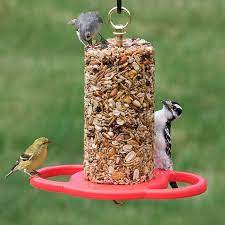 Duncraft Com Duncraft All Birds Seed Cylinder Bird Seed Bird Feeders All Birds