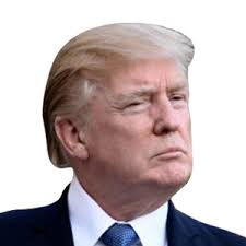 2020 Orange County election: Live results