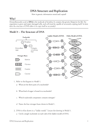 Dna coloring worksheet smithfarmspa com. Dna Structure And Replication Flip Ebook Pages 1 5 Anyflip Anyflip