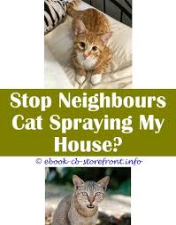Yes, male cats do spray after being neutered. 12 Beyond Words Cat Spray Remover Essential Oils Male Cat Spraying Cats Flea Spray For Cats