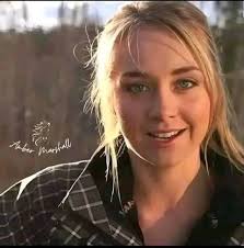 Wisteria blooming and beauty appreciation