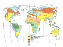 Printable World Biome Map Coloring Worksheet World Biome Map Coloring Worksheet Unique Biomes Coloring Pages Maximosheet In 2020 Biomes Precious Moments Coloring Pages Coloring Pages