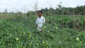 We did not find results for: Traditional Agricultural Wisdom Still Relevant In Assam India Climate Dialogue