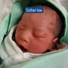 Bilo Billy Low (@billyyuenhon) • Instagram photos and videos