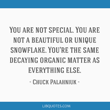 Some cute snowflakes quotes are a perfect infusion of intricacy and individuality. You Are Not Special You Are Not A Beautiful Or Unique Snowflake You Re The Same