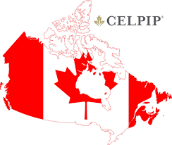 Celpip Vs Ielts Which Is Better For Canada Visa Ronen Kurzfeld Immigration Law Firm