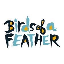 Birds Of A Feather Saying Birds Of A Feather Liked On Polyvore Featuring Text Quotes Words Backgrounds Fillers Phrase And Saying Bird Feathers Typography Love Cool Typography