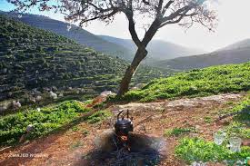 صور من الريف الفلسطيني قرية اللبن الشرقية شمال مدينة رام الله Natural Landmarks Landmarks Nature