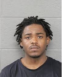 ᐅ Illinois Criminal Records 2009-2026